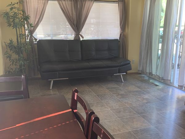 Cozy living room with a dark sofa, sheer curtains, a clock above, potted plant, and sliding glass doors letting in sunlight.