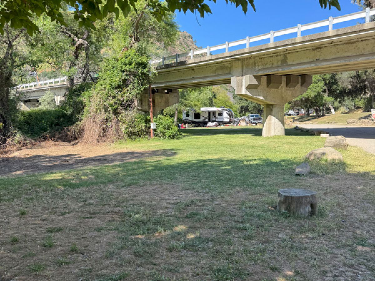A grassy area with a tree stump, trees, and a bridge in the background on a sunny day. A parked vehicle is visible under the bridge.