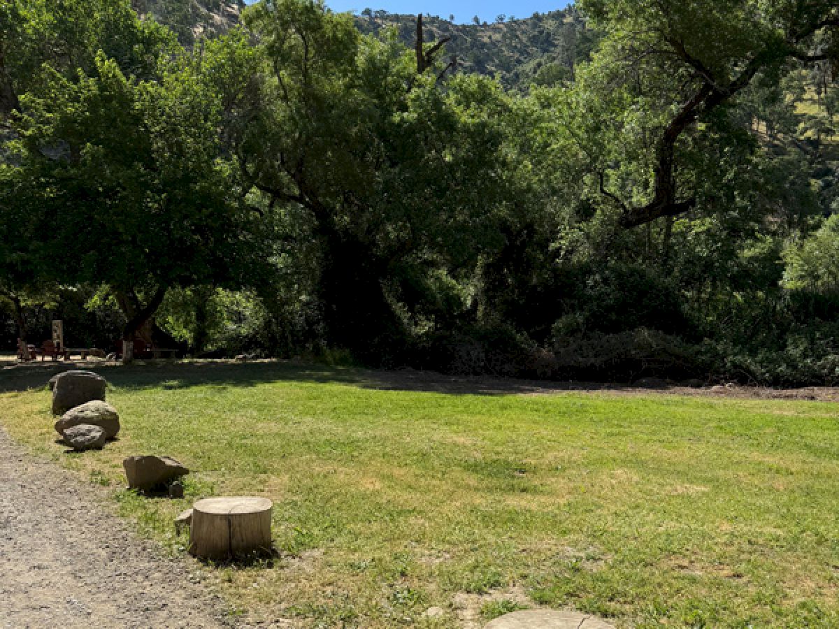 The image shows a grassy area with tree stumps, a dirt path, and trees in the background under a clear blue sky.