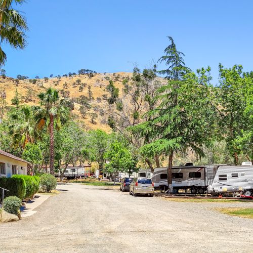 A sunny RV park with a gravel road, palm trees, a small beige building, parked trailers, and green trees against a hillside backdrop.