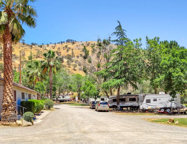 A sunny RV park with a gravel road, palm trees, a small beige building, parked trailers, and green trees against a hillside backdrop.