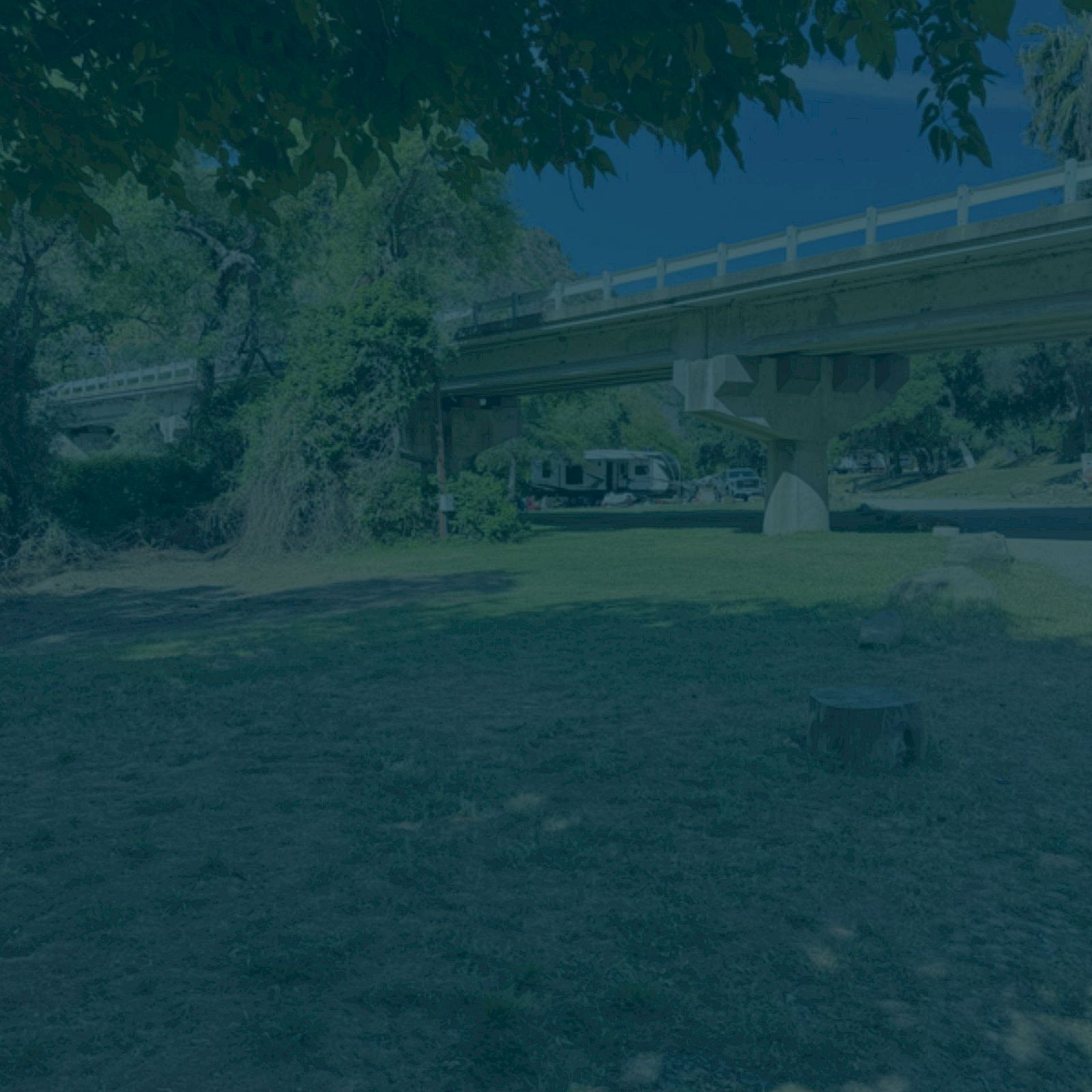 A sunny riverside park with a low bridge overhead, trees, and a bench in the shaded grass.
