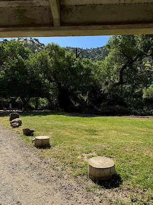 A sunny park scene with a gravel path and evenly spaced stump seats, green grass, trees, and a distant hillside under a shaded overhang.