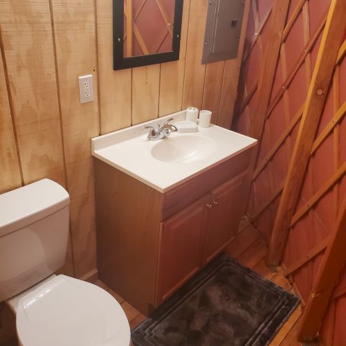 The image shows a bathroom with wooden walls, a sink cabinet with a mirror, a toilet, a small carpet, and a wall panel.