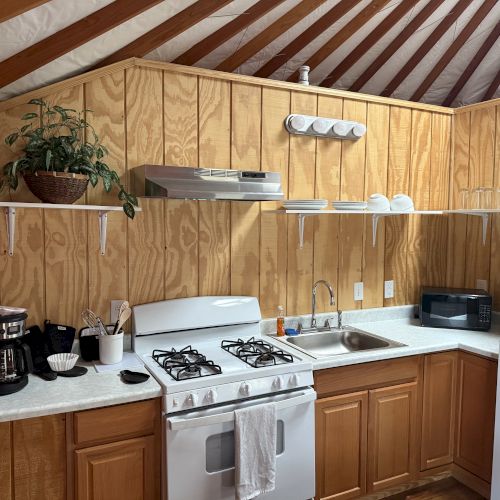 A cozy kitchen with wooden paneling, featuring a stove, fridge, microwave, coffee maker, and a plant on the shelf above.